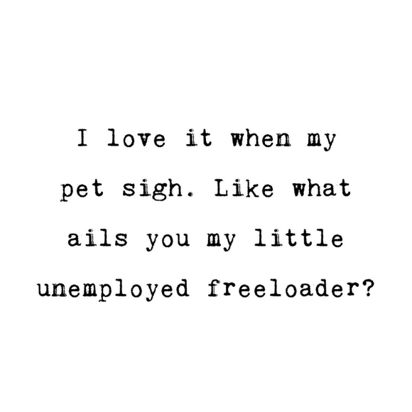 Wishing Everyone A Healthy & Prosperous New Year - Picture 6 of 9